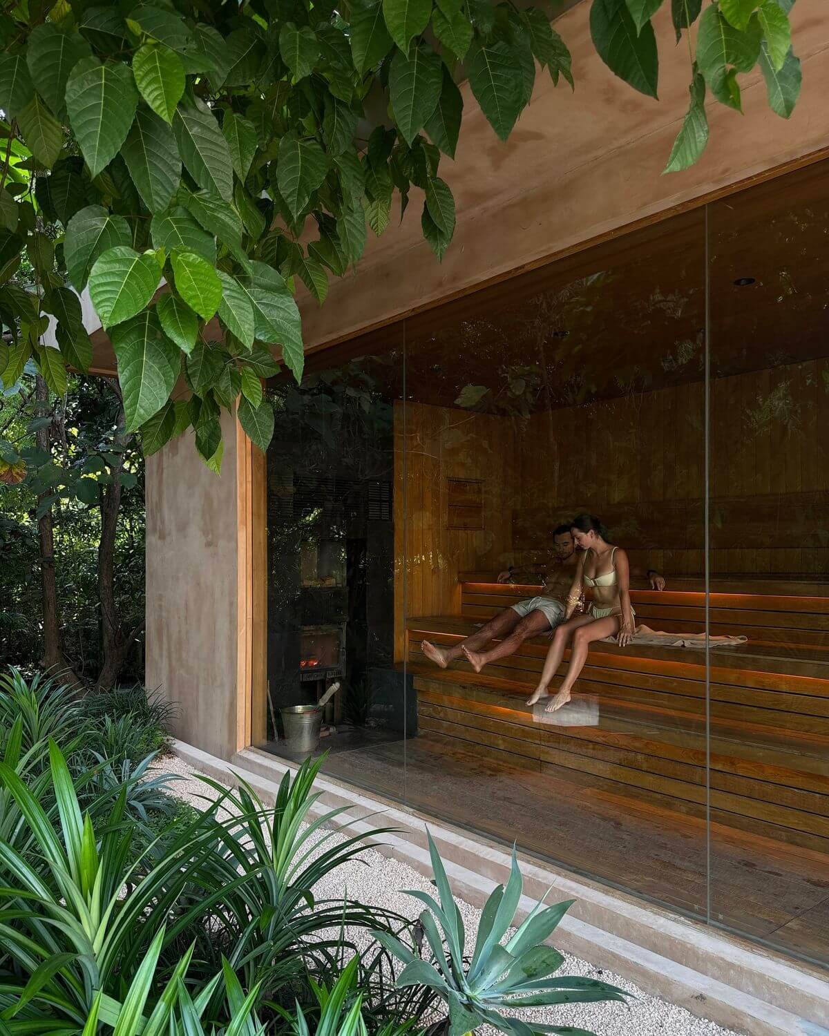 Wellness & recovery